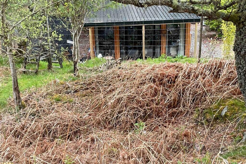 Coorie Doon Cabin! Great Scottish Welcome Форт Аугустус Экстерьер фото