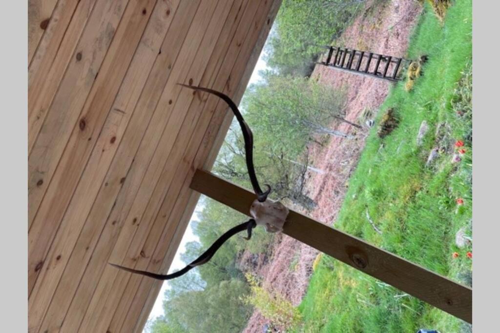 Coorie Doon Cabin! Great Scottish Welcome Форт Аугустус Экстерьер фото