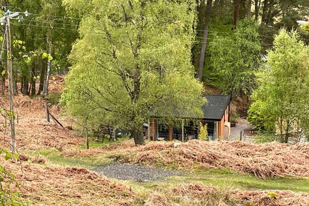 Coorie Doon Cabin! Great Scottish Welcome Форт Аугустус Экстерьер фото